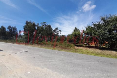 Helårsgrund i Agueda, Aveiro, Agueda - € 180.000 | Ref: AG 4173 - foto 2