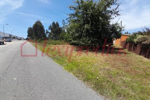 Helårsgrund i Agueda, Aveiro, Agueda - € 180.000 | Ref: AG 4173 - foto 1