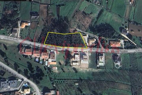 Helårsgrund i Agueda, Aveiro, Agueda - € 180.000 | Ref: AG 4173 - foto 3