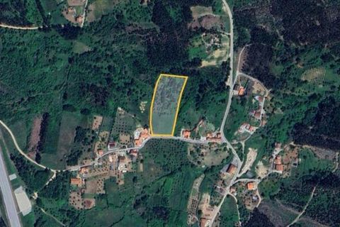 Helårsgrund i Penela, Coimbra, Penela - € 32.000 | Ref: 73744 - foto 6