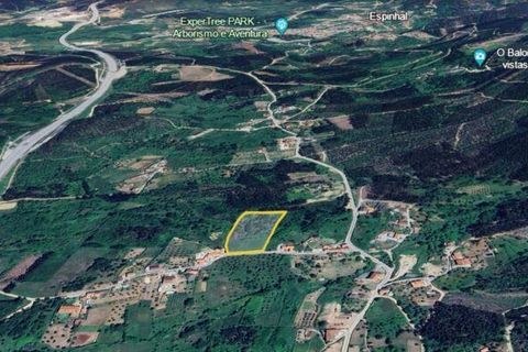 Helårsgrund i Penela, Coimbra, Penela - € 32.000 | Ref: 73744 - foto 12