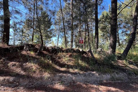 Terra a Celorico da Beira, Guarda, Celorico da Beira - € 21.000 | Ref: 405240160 - foto 2