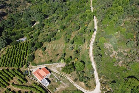 Terra a Celorico da Beira, Guarda, Celorico da Beira - € 21.000 | Ref: 405240160 - foto 3