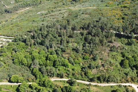 Terra a Celorico da Beira, Guarda, Celorico da Beira - € 21.000 | Ref: 405240160 - foto 4