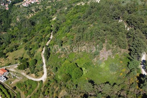 Terra a Celorico da Beira, Guarda, Celorico da Beira - € 21.000 | Ref: 405240160 - foto 5