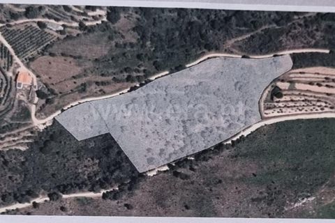 Terra a Celorico da Beira, Guarda, Celorico da Beira - € 21.000 | Ref: 405240160 - foto 6