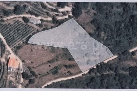 Terra a Celorico da Beira, Guarda, Celorico da Beira - € 21.000 | Ref: 405240160 - foto 7