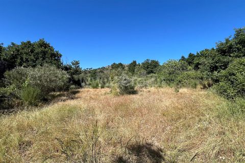 Terra a Celorico da Beira, Guarda, Celorico da Beira - € 14.000 | Ref: 405240159 - foto 2
