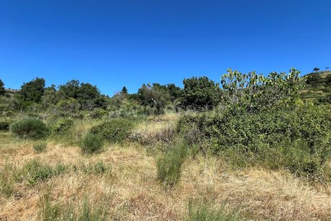 Terra a Celorico da Beira, Guarda, Celorico da Beira - € 14.000 | Ref: 405240159 - foto 3