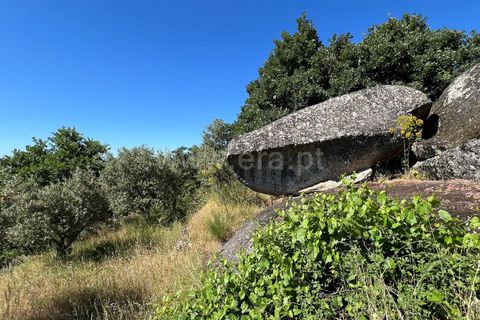 Terra a Celorico da Beira, Guarda, Celorico da Beira - € 14.000 | Ref: 405240159 - foto 4