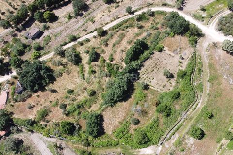 Terra a Celorico da Beira, Guarda, Celorico da Beira - € 14.000 | Ref: 405240159 - foto 5