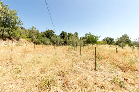 Villa a Guarda, Guarda, Guarda - € 70.000 | Ref: 046220149 - foto 6