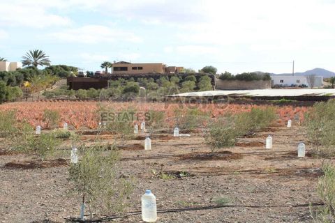 Villa en Tesejerague, Fuerteventura, Tesejerague - € 795.000 | Ref: 027131 - photo 19