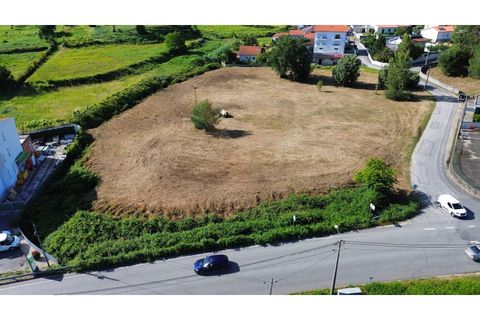 Helårsgrund i Ponte de Lima, Viana do Castelo, Ponte de Lima - € 850.000 | Ref: V075 - foto 4