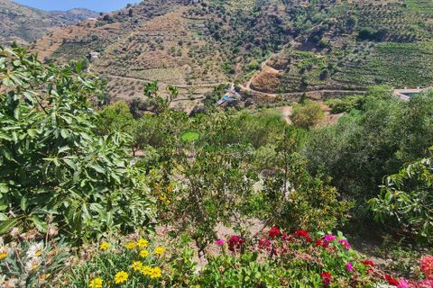 Landejendom i Competa, Malaga, Competa - € 365.000 | Ref: 7802 - foto 27