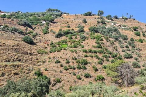 Landejendom i Competa, Malaga, Competa - € 365.000 | Ref: 7802 - foto 34