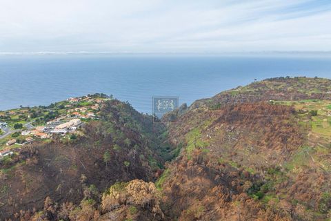 Helårsgrund i Calheta, Madeira, Calheta - € 95.000 | Ref: 502 - foto 15