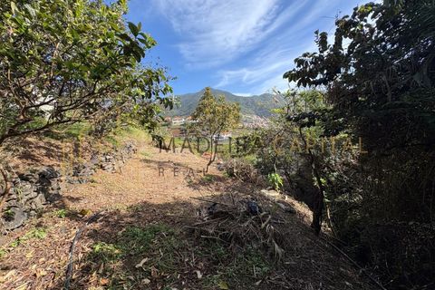 Helårsgrund i Machico, Madeira, Machico - € 65.000 | Ref: MC 11 - foto 8