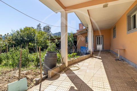 Villa i Vila Pouca de Aguiar, Vila Real, Vila Pouca de Aguiar - € 229 000 | Ref: K734 - foto 3