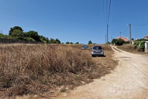 Tomt i Alcabideche, Lisbon, Alcabideche - € 1 400 000 | Ref: CJG-T1266 - foto 3