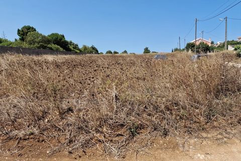 Tomt i Alcabideche, Lisbon, Alcabideche - € 1 400 000 | Ref: CJG-T1266 - foto 4