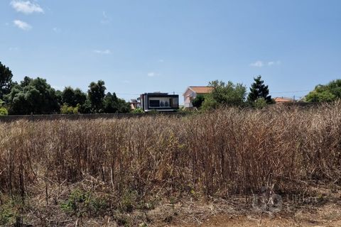 Tomt i Alcabideche, Lisbon, Alcabideche - € 1 400 000 | Ref: CJG-T1266 - foto 5