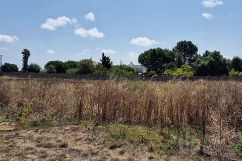 Tomt i Alcabideche, Lisbon, Alcabideche - € 1 400 000 | Ref: CJG-T1266 - foto 6