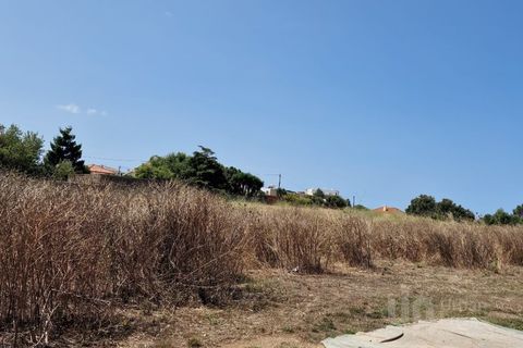 Tomt i Alcabideche, Lisbon, Alcabideche - € 1 400 000 | Ref: CJG-T1266 - foto 7
