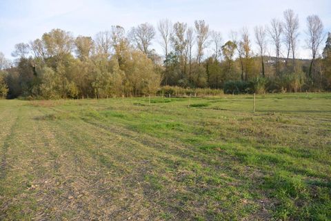 Helårsgrund i Collecorvino, Pescara, Collecorvino - € 12.000 | Ref: 3894862 - foto 9
