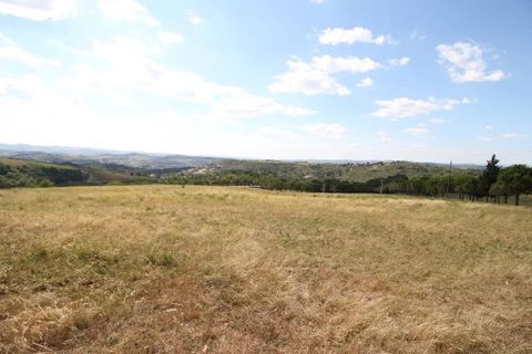 Terra a Limoux, Aude, Limoux - € 250.000 | Ref: 85089553 - foto 2