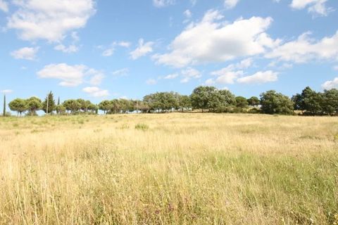 Terra a Limoux, Aude, Limoux - € 250.000 | Ref: 85089553 - foto 3