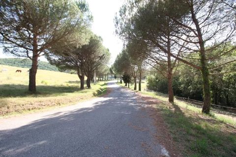 Terra a Limoux, Aude, Limoux - € 250.000 | Ref: 85089553 - foto 5