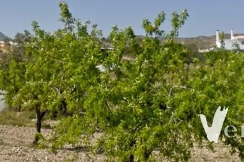 Landejendom i Taberno, Almeria, Taberno - € 199.000 | Ref: VHAP 2832 - foto 2