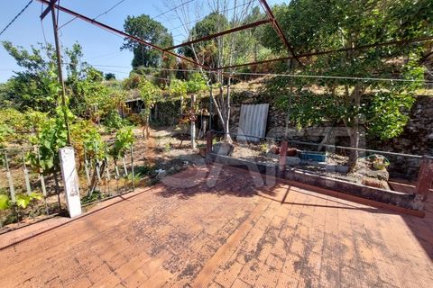 Villa i Viana do Castelo, Viana do Castelo, Viana do Castelo - € 175.000 | Ref: SAFTI:005273 - foto 31