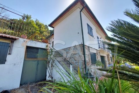 Villa i Viana do Castelo, Viana do Castelo, Viana do Castelo - € 175.000 | Ref: SAFTI:005273 - foto 32