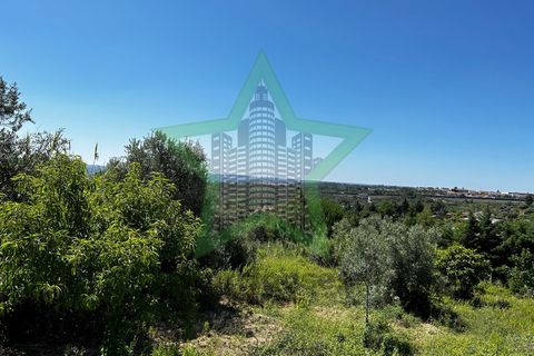 Helårsgrund i Tomar, Santarem, Tomar - € 37.000 | Ref: STAR_189 - foto 2