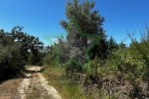 Helårsgrund i Tomar, Santarem, Tomar - € 37.000 | Ref: STAR_189 - foto 5