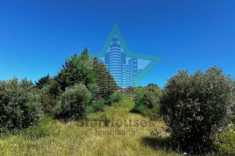Helårsgrund i Tomar, Santarem, Tomar - € 37.000 | Ref: STAR_189 - foto 8
