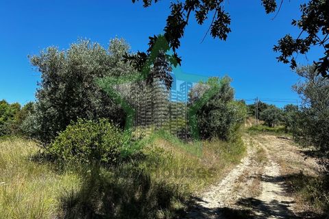 Helårsgrund i Tomar, Santarem, Tomar - € 37.000 | Ref: STAR_189 - foto 10