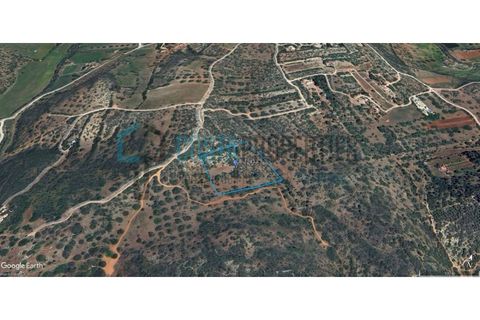 Helårsgrund i Budens, Faro, Budens - € 59.000 | Ref: CP-T2433 - foto 3