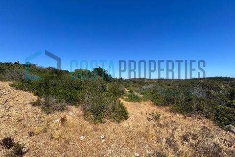 Helårsgrund i Budens, Faro, Budens - € 59.000 | Ref: CP-T2433 - foto 13