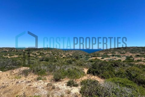 Helårsgrund i Budens, Faro, Budens - € 59.000 | Ref: CP-T2433 - foto 15