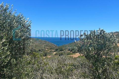 Helårsgrund i Budens, Faro, Budens - € 59.000 | Ref: CP-T2433 - foto 16