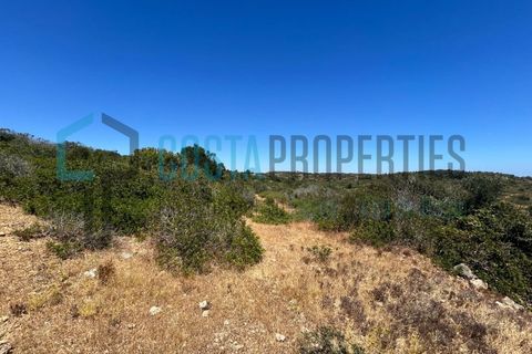 Helårsgrund i Budens, Faro, Budens - € 59.000 | Ref: CP-T2433 - foto 21