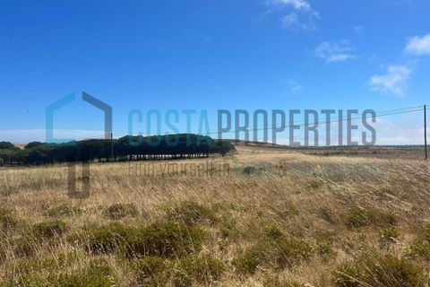 Helårsgrund i Sagres, Faro, Sagres - € 12.500 | Ref: CP-T2432 - foto 7