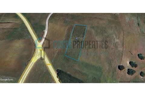 Helårsgrund i Sagres, Faro, Sagres - € 12.500 | Ref: CP-T2432 - foto 13