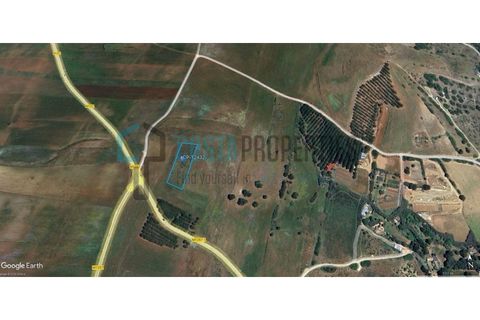 Helårsgrund i Sagres, Faro, Sagres - € 12.500 | Ref: CP-T2432 - foto 14