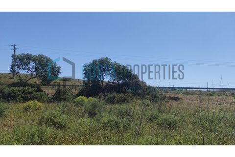 Helårsgrund i Sagres, Faro, Sagres - € 13.500 | Ref: CP-T2423 - foto 15