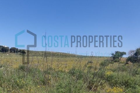 Helårsgrund i Sagres, Faro, Sagres - € 13.500 | Ref: CP-T2423 - foto 18
