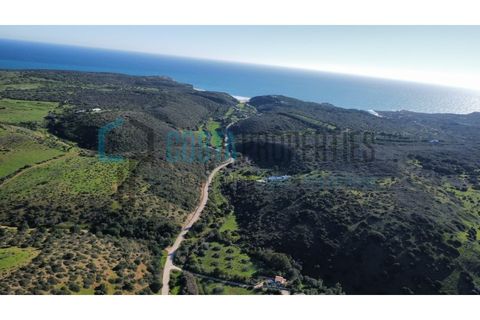 Helårsgrund i Sagres, Faro, Sagres - € 20.000 | Ref: CP-T2426 - foto 4